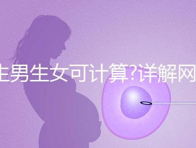 生男生女可計算?詳解網(wǎng)傳5大胎兒性別計算公式