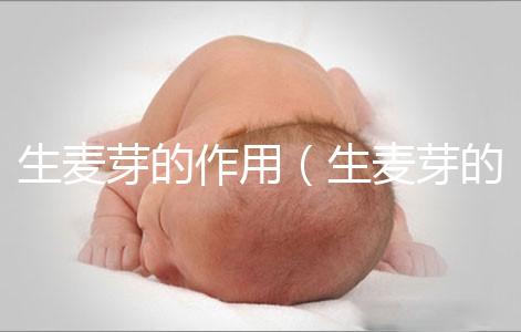 生麥芽的作用（生麥芽的作用與功能主治）