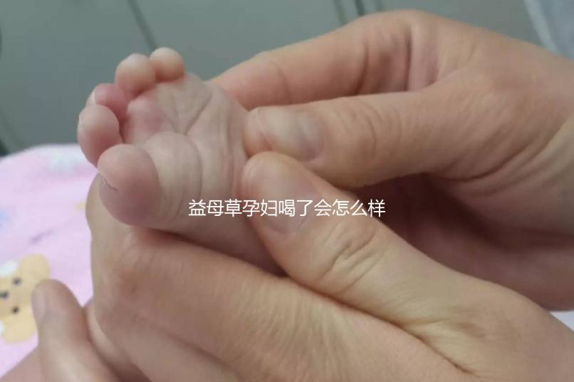 益母草孕婦喝了會怎么樣要早知，會不會流產、怎么辦這都有