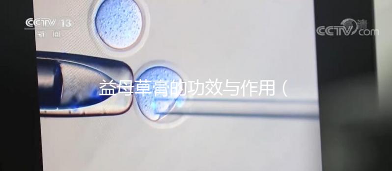 益母草膏的功效與作用(益母膏的好處)