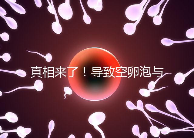 真相來了！導致空卵泡與多囊卵巢有關，區別在于以下四點，多研究