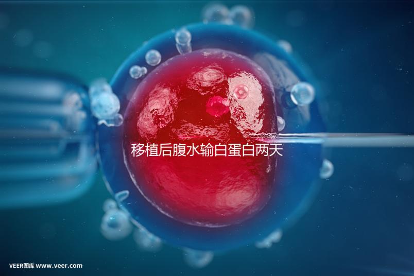 移植后腹水輸白蛋白兩天不好怎么辦？關鍵是找出發生了什么