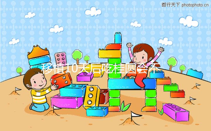 移植10天后吃桂圓會(huì)不會(huì)不著床分人，過(guò)量食用或有影響