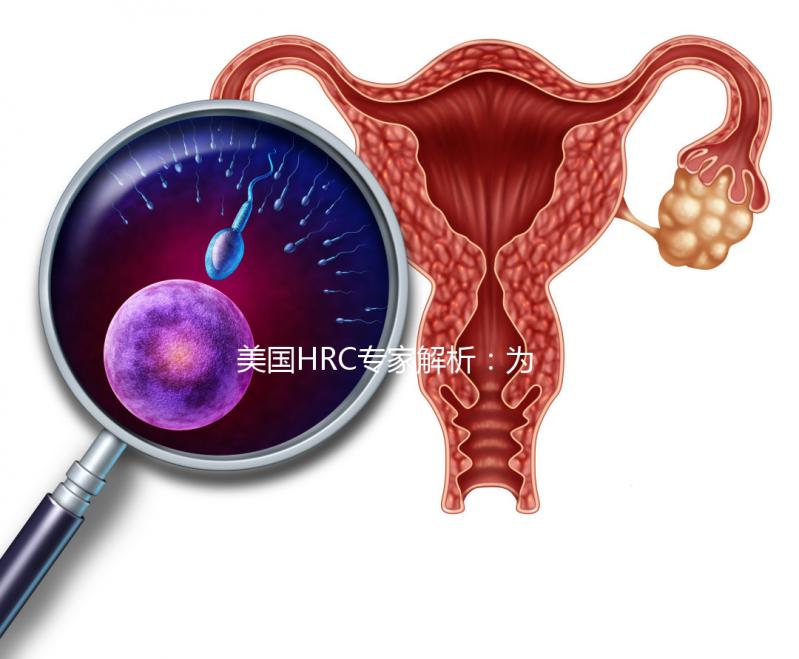 美國HRC專家解析：為何用第二代試管嬰兒技術結合精卵？–美國HRC