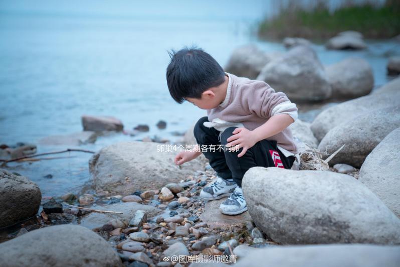 卵巢4個(gè)周期各有不同卵泡監(jiān)測(cè)發(fā)育情況要找準(zhǔn)時(shí)間