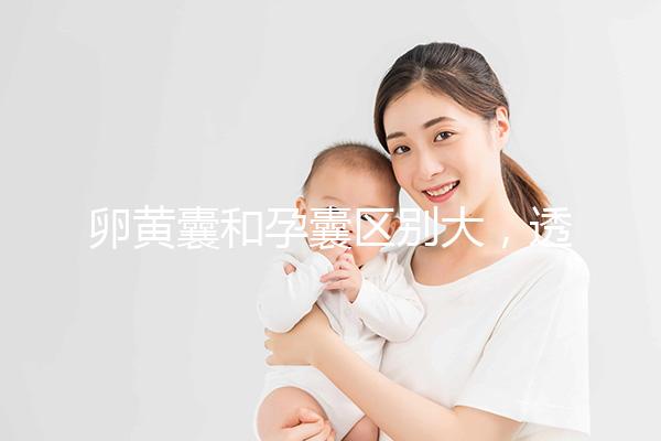 卵黃囊和孕囊區(qū)別大,透過(guò)B超首次為你揭露其形狀