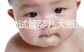 做一次試管嬰兒大概需要多...@健康養(yǎng)生小草老師的動(dòng)態(tài)