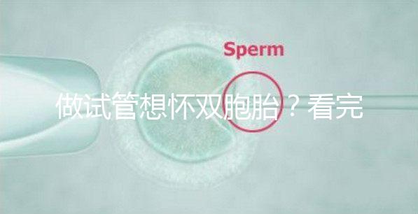 做試管想懷雙胞胎?看完這篇文章再決定