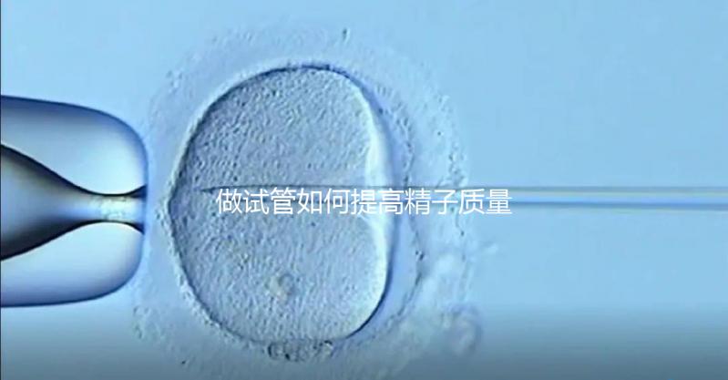 做試管如何提高精子質量？五星推薦4個簡單小運動