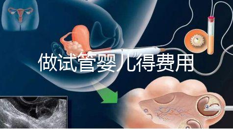 做試管嬰兒得費用