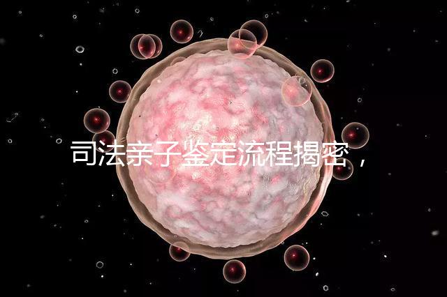 司法親子鑒定流程揭密，附準(zhǔn)備材料請一并參考