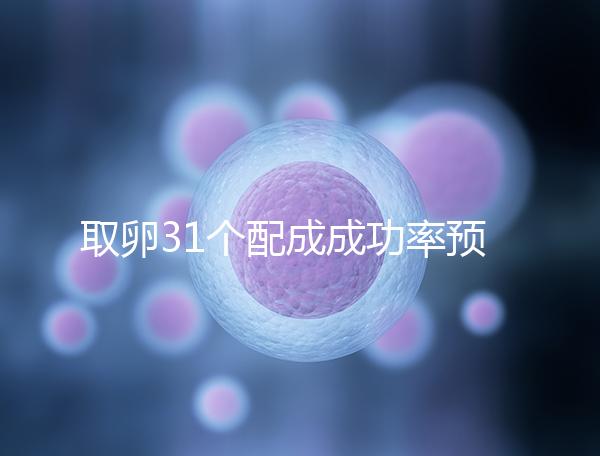 取卵31個配成成功率預測,鮮胚個數在這個范圍都有希望