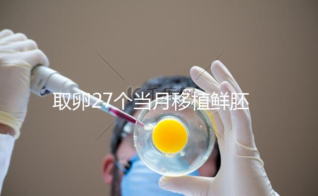 取卵27個當月移植鮮胚別想了，成功率低不說當心全軍覆沒
