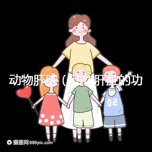 動物肝臟（動物肝臟的功效與作用）