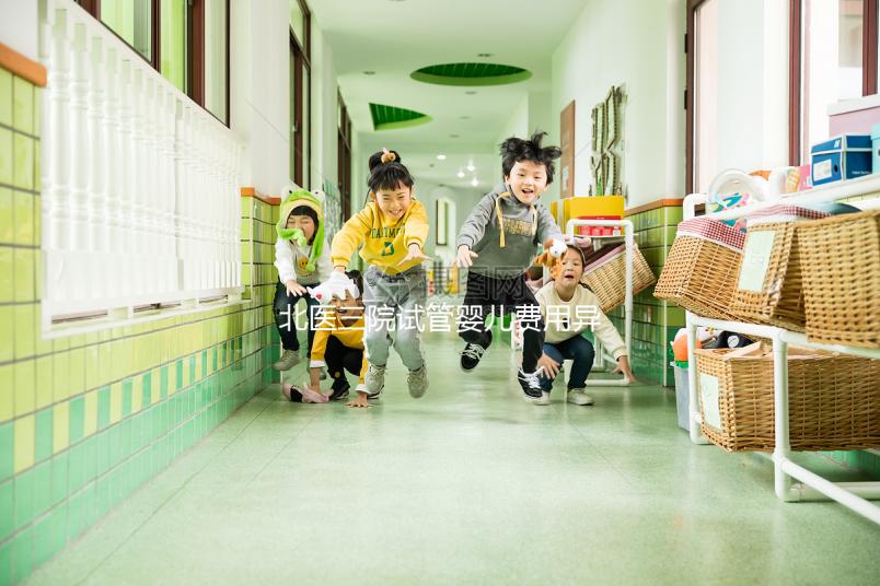 北醫(yī)三院試管嬰兒費(fèi)用異地能報銷嗎