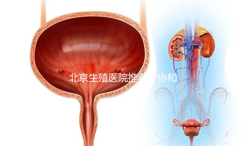北京生殖醫院推薦！協和、北醫三院等三甲醫院介紹