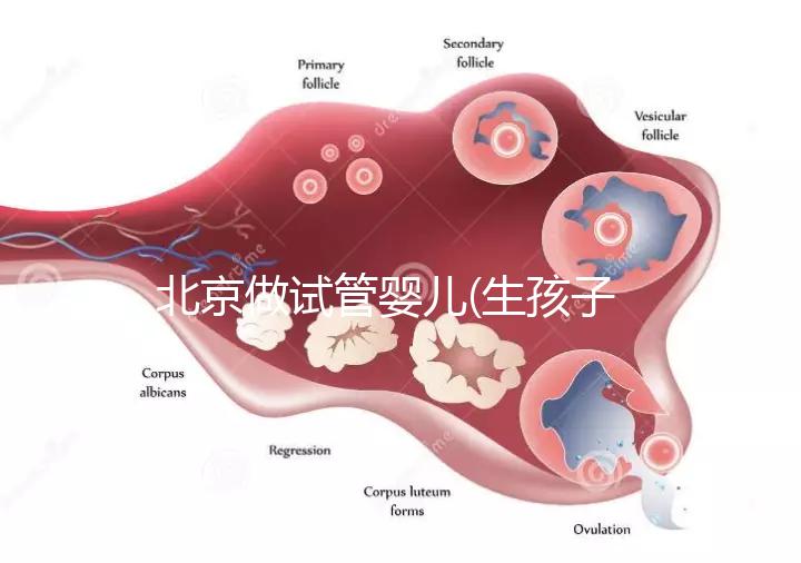 北京做試管嬰兒(生孩子)的費用具體是多少？