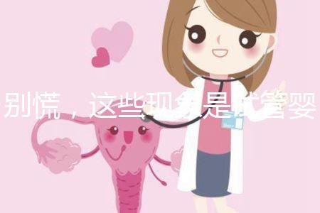 別慌，這些現(xiàn)象是試管嬰兒移植后的正常反應