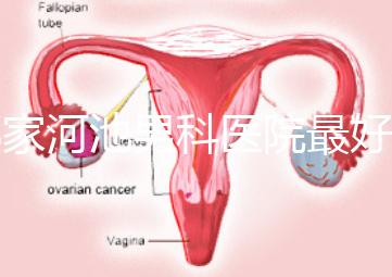 哪家河池男科醫院最好快速收藏，金城江區最有名的就在這里