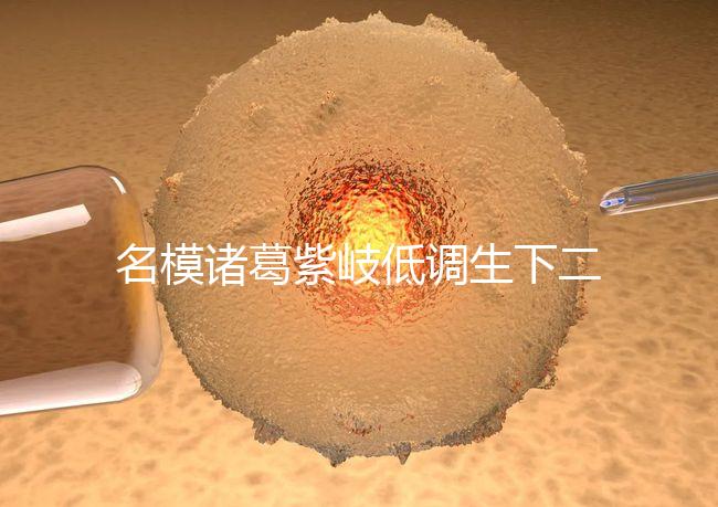 名模諸葛紫岐低調(diào)生下二胎，孕7個(gè)月肚子扁平成焦點(diǎn)