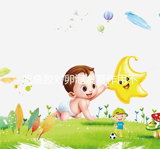 吃魚膠對卵泡發育作用不少，常食用還真能讓卵巢變好