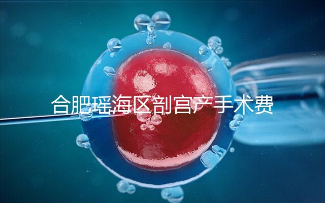 合肥瑤海區(qū)剖宮產(chǎn)手術(shù)費(fèi)不便宜!生育保險(xiǎn)報(bào)銷多少2024有變