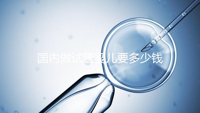 國(guó)內(nèi)做試管嬰兒要多少錢