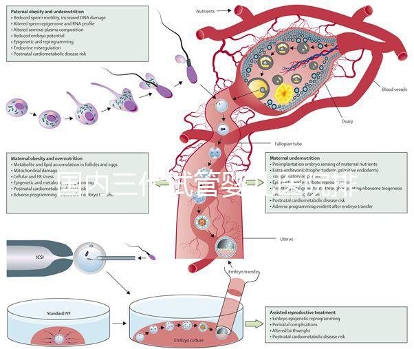 國內三代試管嬰兒醫院排名已更新，2025年上榜醫院是這幾家！