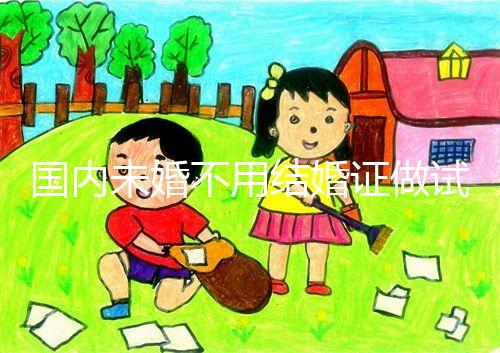 國(guó)內(nèi)未婚不用結(jié)婚證做試管機(jī)構(gòu)都有哪些?