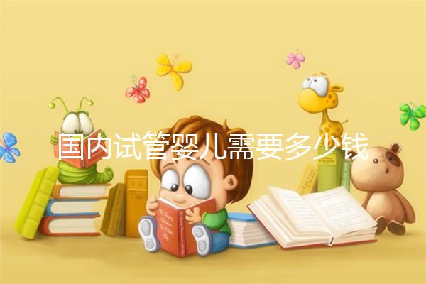 國內(nèi)試管嬰兒需要多少錢？具體費用項目清單一覽