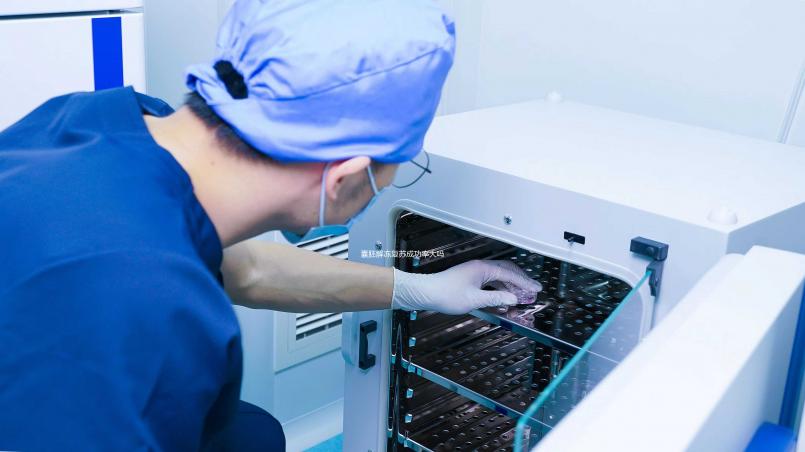 囊胚解凍復(fù)蘇成功率大嗎？80%的人都不知道的真相