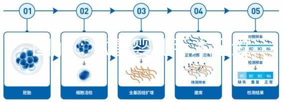圖解：試管嬰兒手術全過程