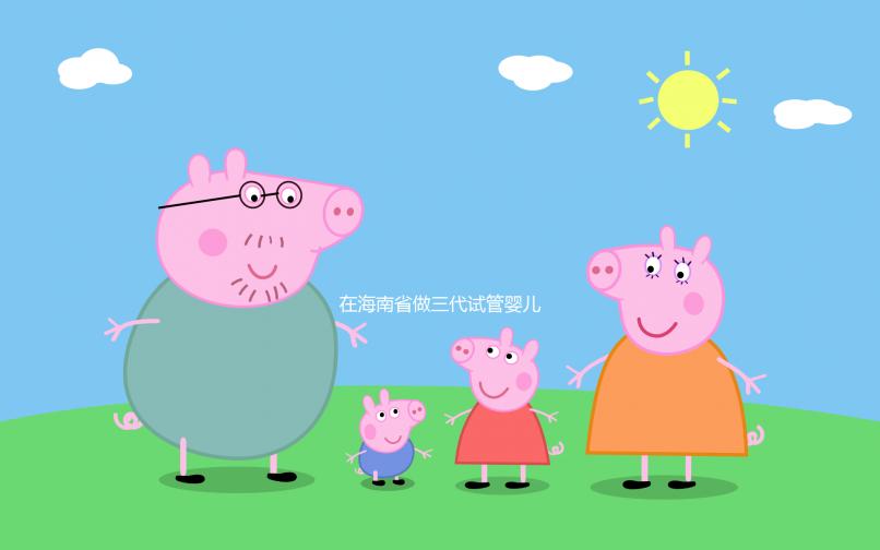 在海南省做三代試管嬰兒一般要花費(fèi)多少，全面介紹費(fèi)用項(xiàng)目與相關(guān)要素