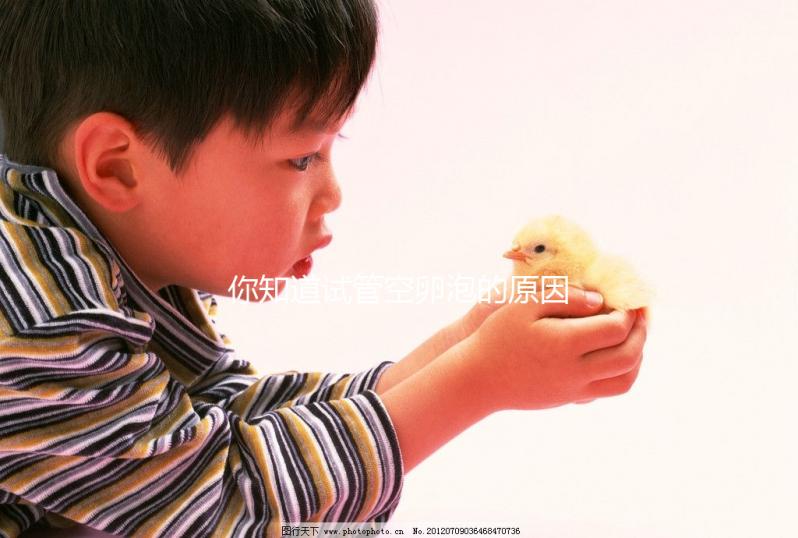 你知道試管空卵泡的原因和癥狀是否會消失嗎？