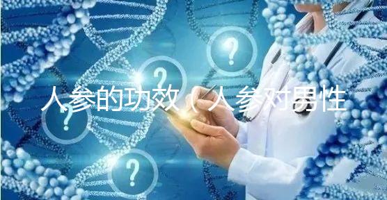 人參的功效（人參對男性性功能有效嗎）