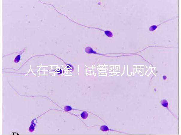 人在孕途！試管嬰兒兩次胎停育,了解這幾招能降低流產(chǎn)風險