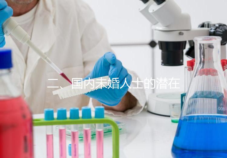 二、國內未婚人士的潛在選擇與風險