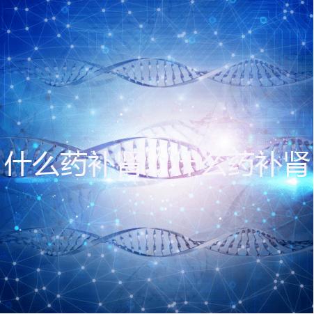 什么藥補腎(什么藥補腎壯陽效果最好)