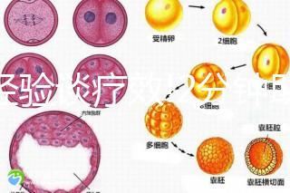 以經驗談療效!2分鐘助你了解30歲女性不排卵能否治好