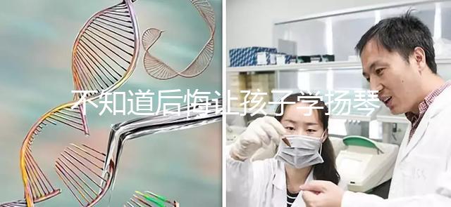 不知道后悔讓孩子學(xué)揚(yáng)琴怎么辦看這，年齡是決定因素