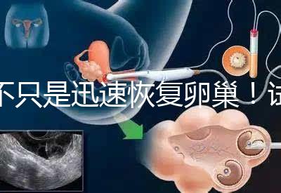 不只是迅速恢復卵巢!試管取卵后吃蘿卜的3大好處匯總