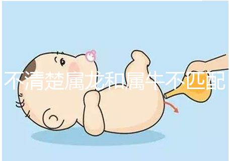 不清楚屬龍和屬牛不匹配戳,再一起看財運就夠了