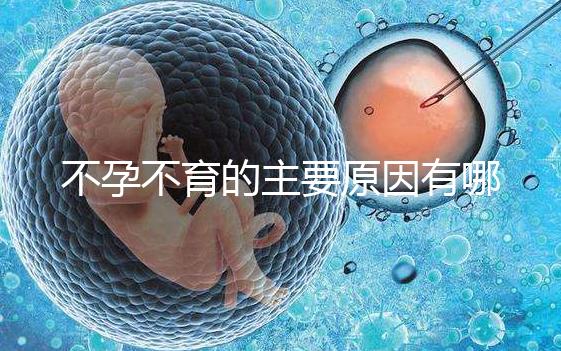 不孕不育的主要原因有哪些