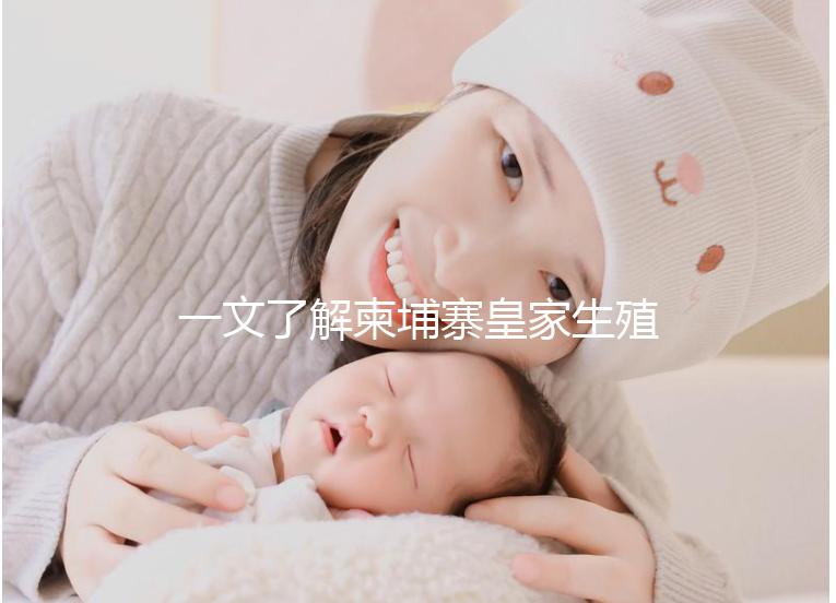 一文了解柬埔寨皇家生殖醫(yī)院：院長吳華林篇