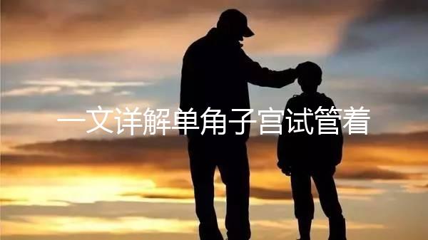 一文詳解單角子宮試管著床困不困難，失敗或和這幾點(diǎn)有關(guān)