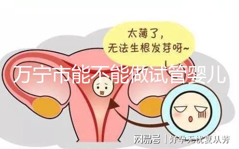 萬寧市能不能做試管嬰兒？姐妹們都去哪里做試管？