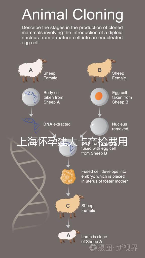 上海懷孕建大卡產檢費用分享，不同地區收費標準差別大！