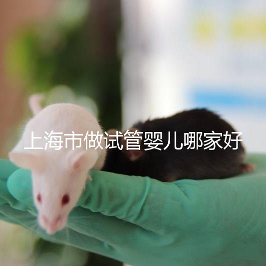 上海市做試管嬰兒哪家好？2025年權(quán)威醫(yī)院排名與成功率詳細(xì)對比