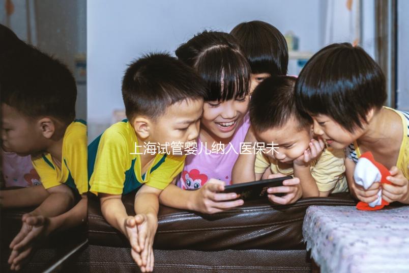 上海試管嬰兒納入醫(yī)保未批準(zhǔn)？專(zhuān)家：想報(bào)銷(xiāo)助孕費(fèi)用再等等