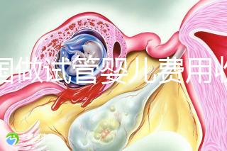 中國做試管嬰兒費用收費價目表一覽，包含具體成本預算